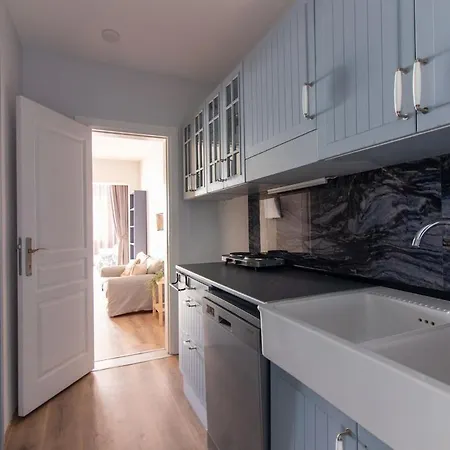 Appartamento Modern And Cozy 2br In Vibrant Cihangir Provincia di Istanbul